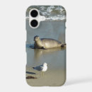Search for la jolla iphone cases California