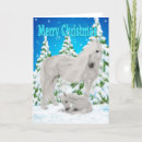 Search for foal christmas cards Horses