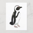 Search for flightless bird postcards Birds