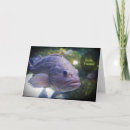 Search for black fish cards Nature