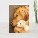 Search for golden retriever get well cards Dog