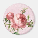 Search for beautiful rose magnets Vintage
