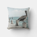Search for pelican cushions Photography