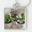 Search for pot square key rings Succulents