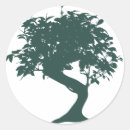 Search for bonsai tree stickers Nature