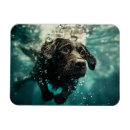 Search for swim design magnets Dog products