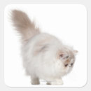 Search for persian stickers Cute
