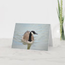 Search for canadian wildlife cards Waterfowl
