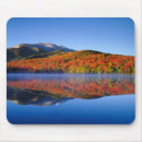 Search for falling mousepads Lake