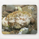 Search for tide electronics Ocean