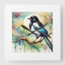 Search for black and white bird clocks Nature