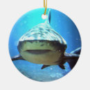Search for snorkel christmas tree decorations Underwater