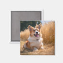 Search for pooch lover stuff magnets For her