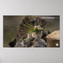 Search for documentary posters Canada