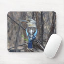 Search for kookaburra mousepads Wildlife