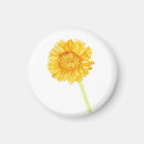Search for gerberas magnets Floral