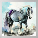 Search for shire horse posters Equine