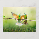 Search for eater postcards Nature