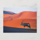 Search for namib postcards Namib naukluft national park