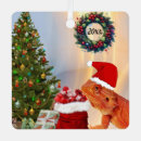 Search for bearded dragon home decor Beardie