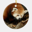 Search for red panda christmas tree decorations Mammal