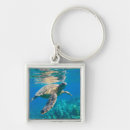 Search for surface square key rings Swimming