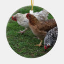 Search for chicken christmas tree decorations Hens