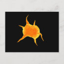 Search for hematology postcards Colour image