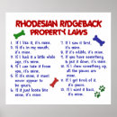 Search for ridgebacks posters Cute