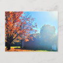 Search for long island postcards York