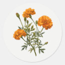 Search for yellow marigold stickers Garden