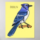 Search for jay bird posters Cyanocitta cristata