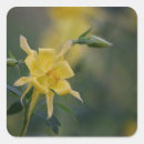 Search for good morning stickers Yellow