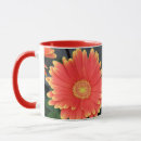 Search for gerbera mugs Photography