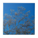 Search for autumn leaf tiles Branches