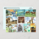 Search for postage stamps postcards Animals