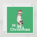 Search for funny australian christmas cards Pets
