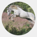 Search for galloping horse stickers Fantasy