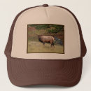 Search for racks hats Antlers