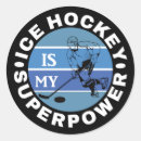 Search for ice hockey stickers Winter sports