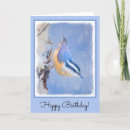 Search for nuthatch cards Songbird