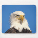 Search for balding electronics Profile