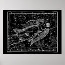 Search for constellations posters Stars