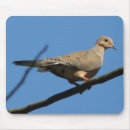 Search for doves mousepads Nature