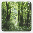 Search for rain forest stickers Green