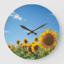 Search for sunflower clocks Sunny