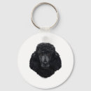 Search for for poodle lovers key rings Weimaraner