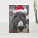 Search for mule christmas cards Donkeys