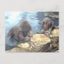 Search for monkey postcards Nagano