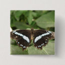Search for lepidoptera badges Butterfly